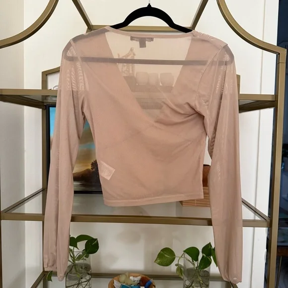 Brown Sheer Mesh V-Neck Long-Sleeved Top - Picture 2 of 6